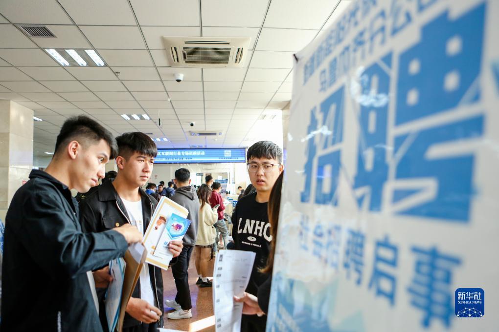 鲨鱼分析软件